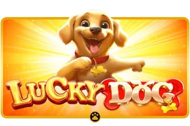 Alur deposit bolawins untuk Fortune Rabbit dengan dukungan QRIS dan dompet digital